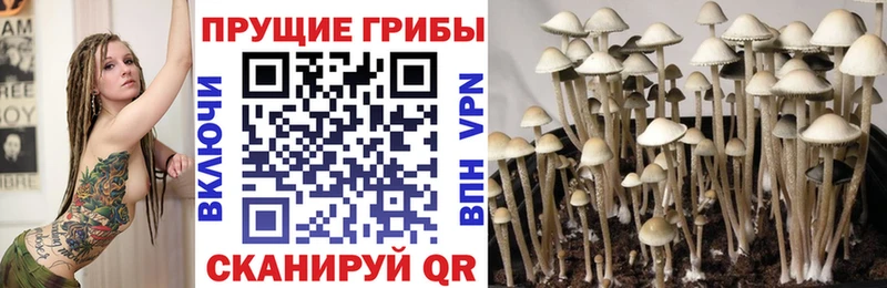 нарко площадка клад  Туапсе  Галлюциногенные грибы мицелий 