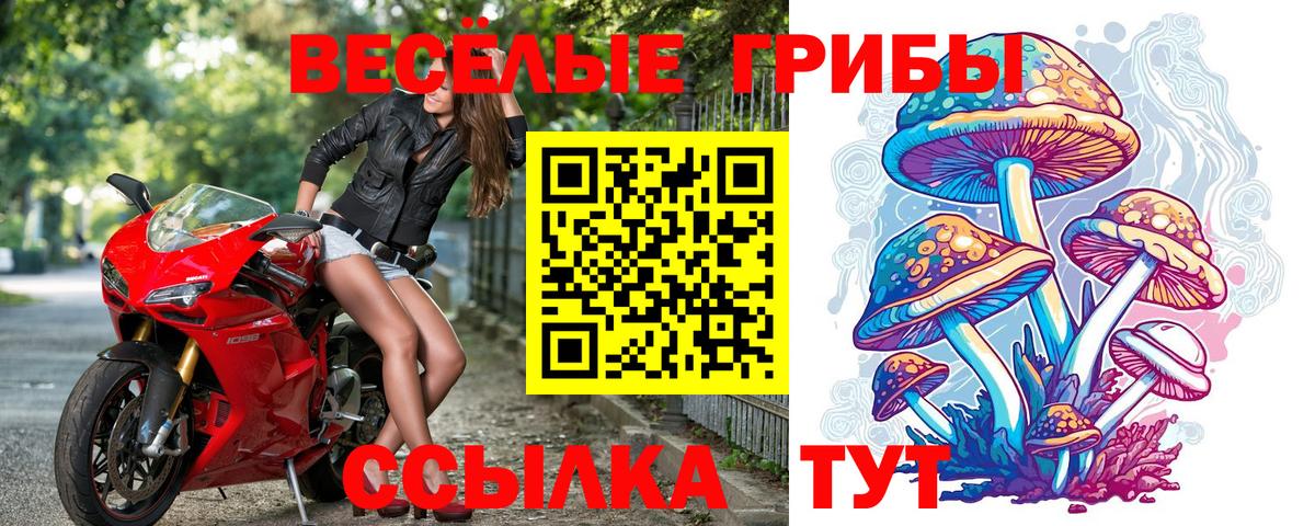 Туапсе  Галлюциногенные грибы GOLDEN TEACHER  Вход с VPN 