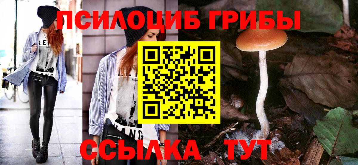 Псилоцибиновые грибы Magic Shrooms Туапсе